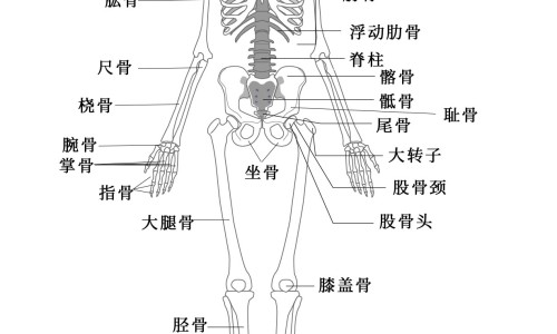 冠心病吃什么营养品提高免疫力-冠心病- 吃什么营养品网 :分享冠心病吃什么营养品提高免疫力-冠心病吃什么营养品提高免疫力知识