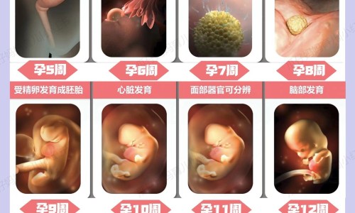冠心病- 吃什么营养品网 :分享冠心病吃什么营养品提高免疫力-冠心病吃什么营养品提高免疫力知识